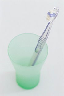 生活日用品素材全攻略 從圖片、背景到模板的一站式解決方案